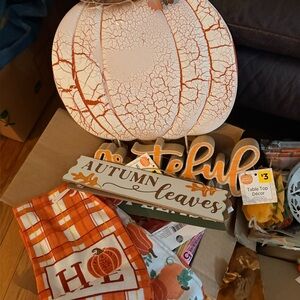 BOX FILLED WITH NEW ITEMS… Fall deco… $30 worth in each box.